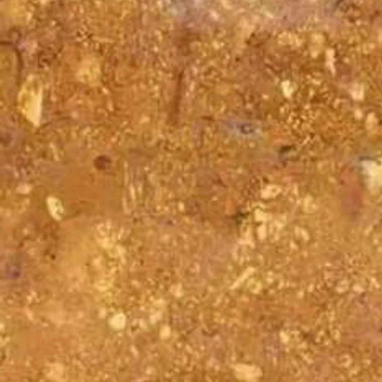Jaisalmer Gold stone surface