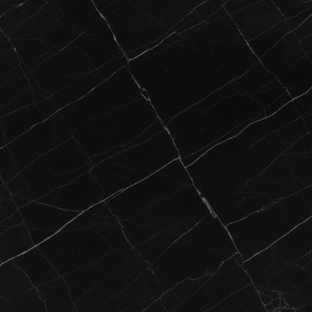 Bhainslana Black marble swatch